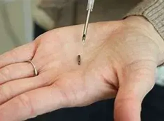 RFID Pet Microchip